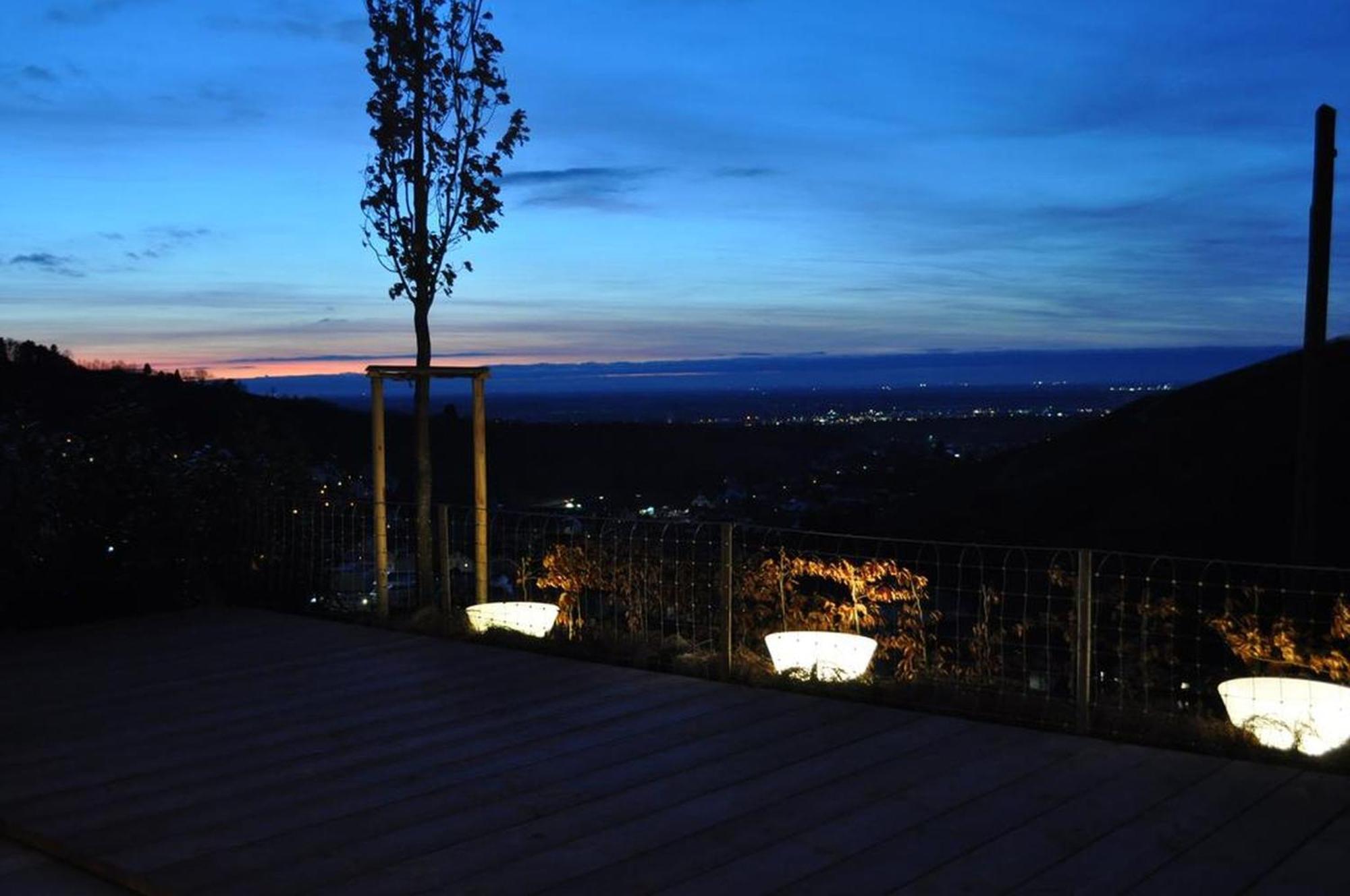 Ferienhaus Mit Panoramablick Buhlertal Bagian luar foto